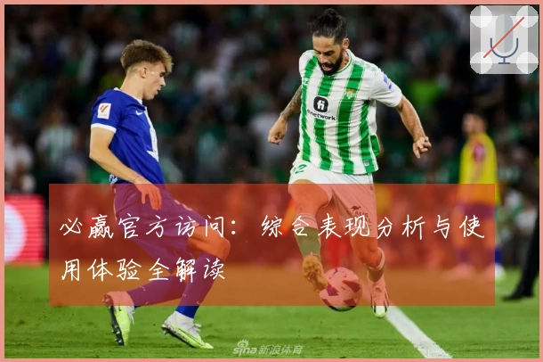 必赢官方访问：综合表现分析与使用体验全解读