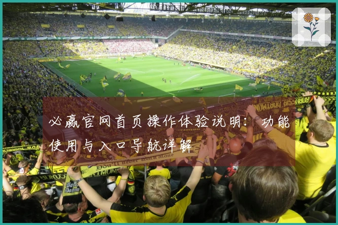 必赢官网首页操作体验说明：功能使用与入口导航详解