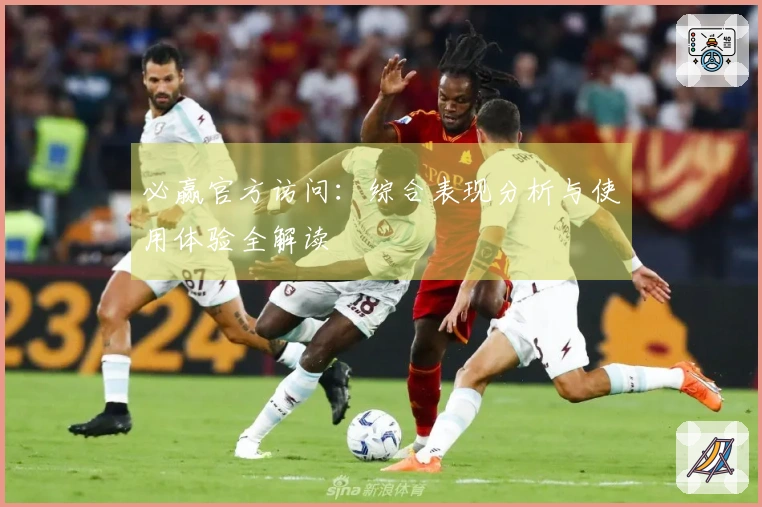 必赢官方访问：综合表现分析与使用体验全解读